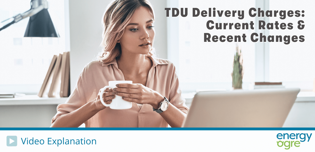 Infographic showing TDU delivery charges with bar graphs and pricing details.