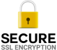 Icon representing SSL encryption for secure data transmission